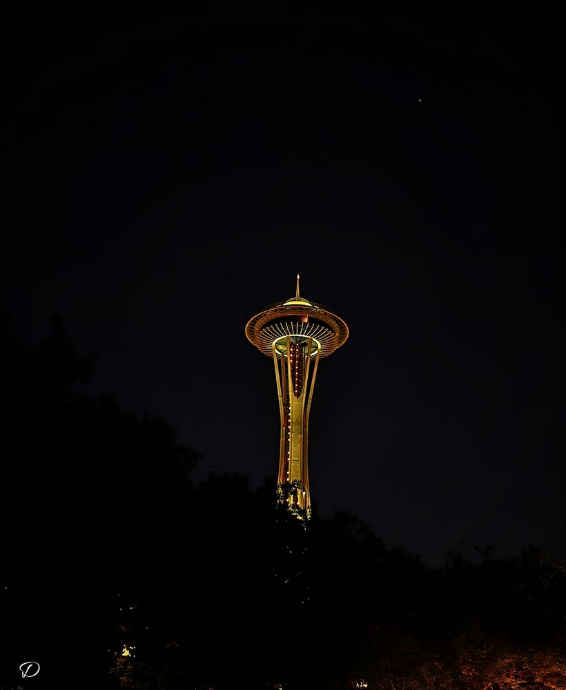 Taken at night over the trees in Seattle Center, one of the most photographed and recognized structures in the world, the Space Needle was built as a cultural centerpiece for the 1962 World’s Fair, whose theme was “The Age of Space.”