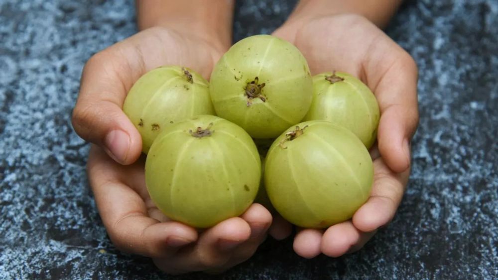 What Happens When You Eat Amla Every Day?- letsdiskuss