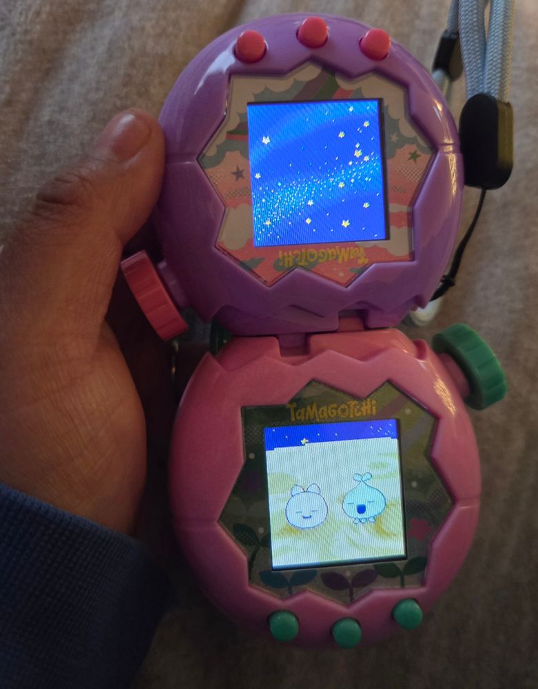 Closer photo of our tamas hanging out!