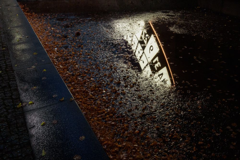 Blick auf den Boden, in der Dunkelheit. Man blickt links auf einen Teil des  Gehsteigs mit Pflastersteinen, darüber viele rotbraune Blätter. In der Pfütze im rec hten Bildteil spiegelt sich ein Rad mit Zahlen eines Glücksspiels.
