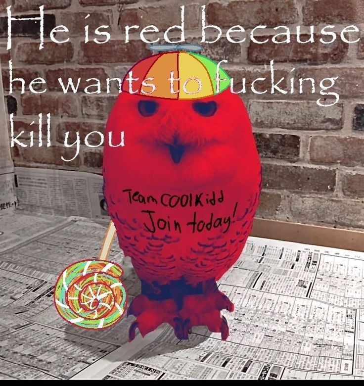 Comment image