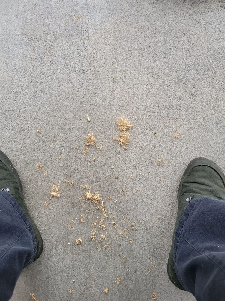 A picture of delightfully curly shavings between the shoes of someone with a block plane and no self restraint