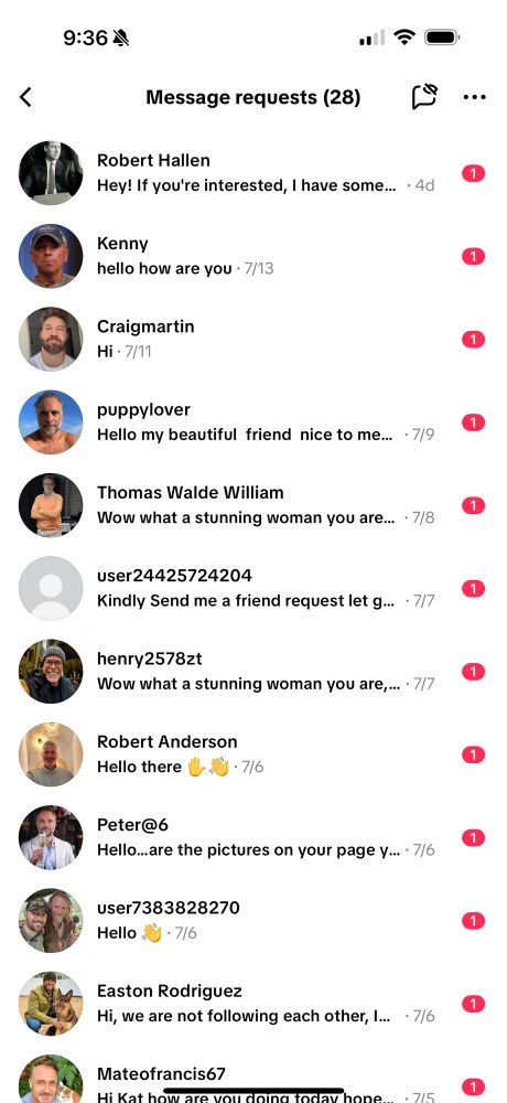 Screenshot of TikTok inbox with 28 unread, flirtatious messages from unfamiliar men or, more likely, bots posing as them. 