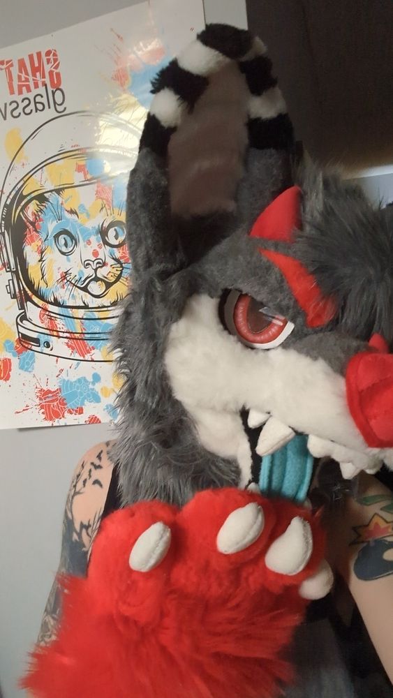 Caiman the Hellhound pulls his tongue down mimicking a cat astronaut poster behind him.