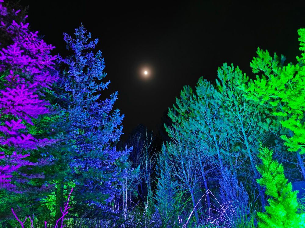 Colorful lit fur trees with the full moon shining through the haze saying farewell to 2025