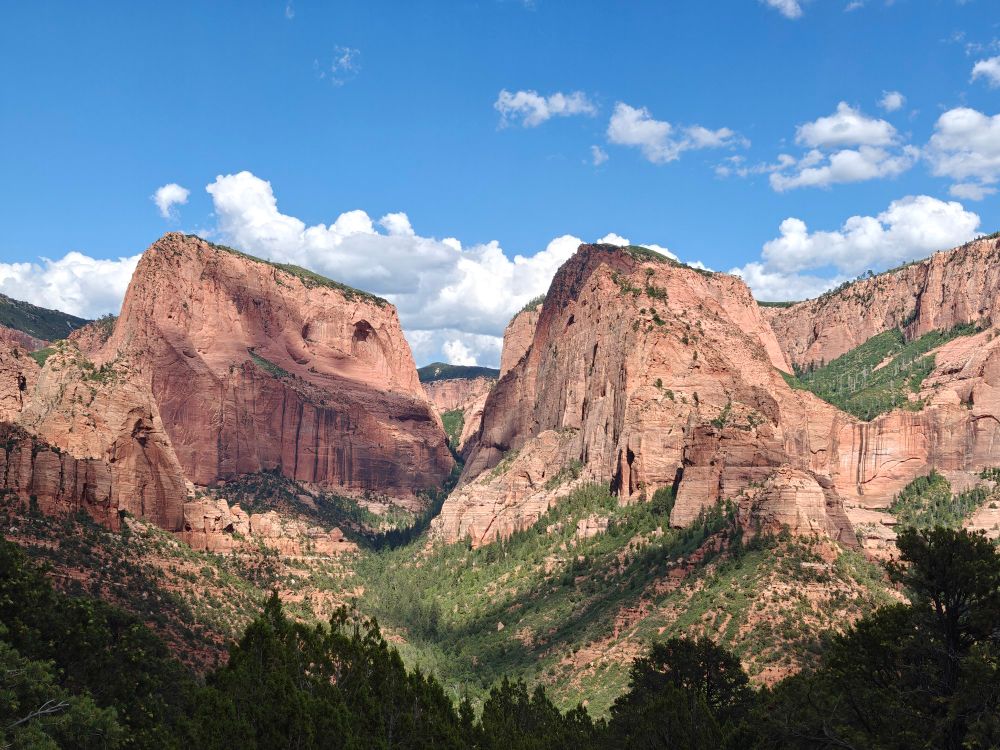 Some mountains and trees 