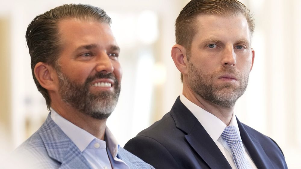 A public document filed by a company that just hired President Donald Trump’s two oldest sons as advisers included a sentence early Monday that said it hoped to benefit from grants and other incentive...