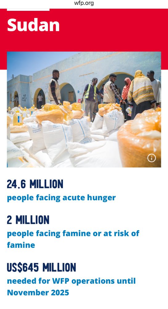 WFP.org stats on the famine in Sudan, like 24.6 million suffering acute hunger, 2 million in famine or at risk of famine, 
