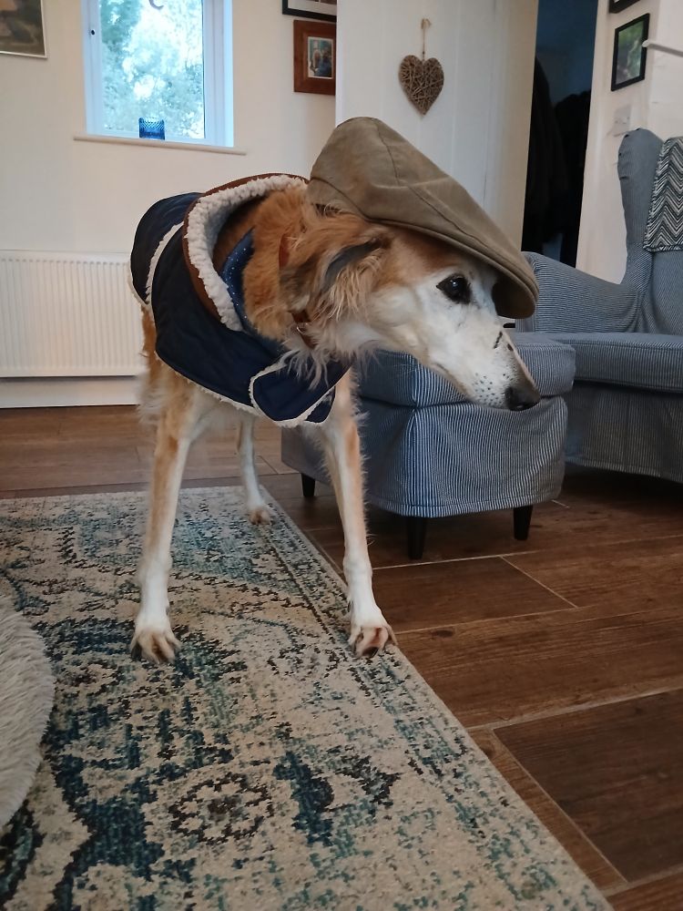 Same photo, except Marina's looking off to the side. 