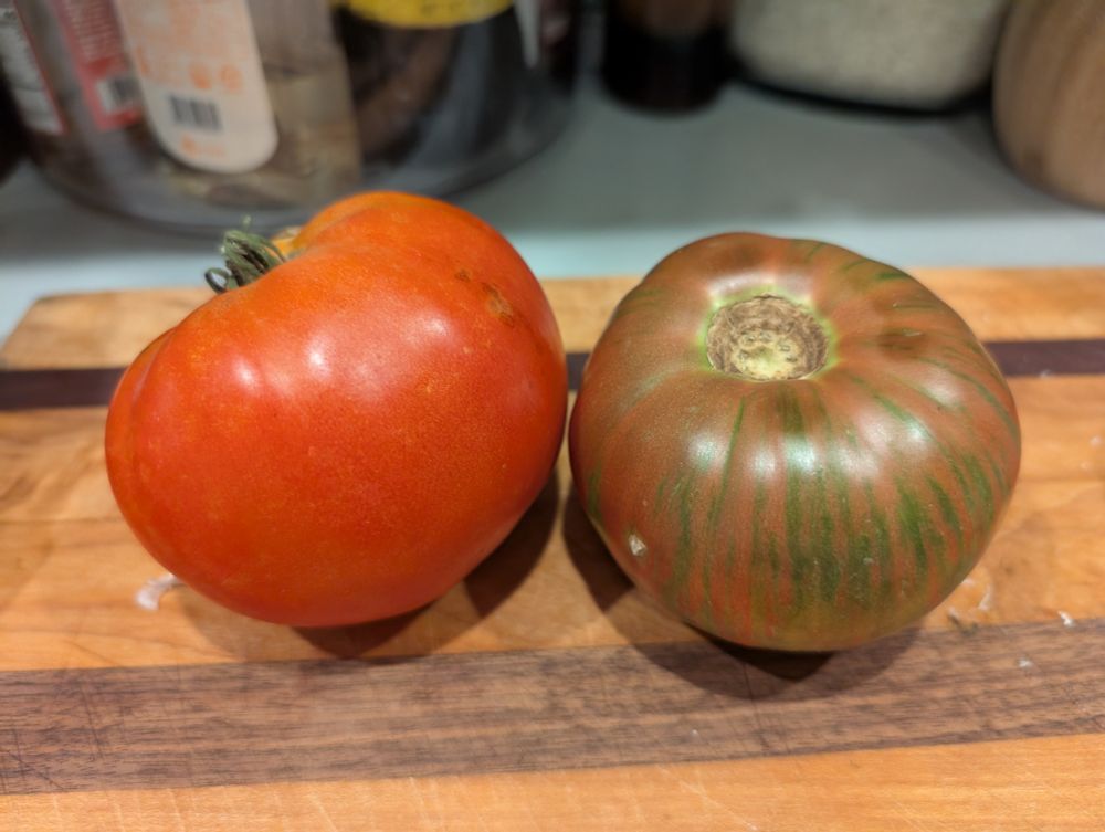 Two tomatoes grown in my back yard, a slicer and some zebra variety (I forget which kind)