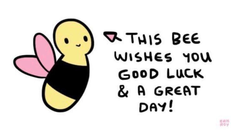 A drawing of a bee with pink wings with an arrow pointing to the bee leading back to black text reading “this bee wishes you good luck and a great day!” written in all caps; not my art or text, credited with a signature in the bottom right corner of the image reading “emmroy” as attributed to Emm’s Positivity Blog, possibly formally known as Positivity Doodles, on Tumblr