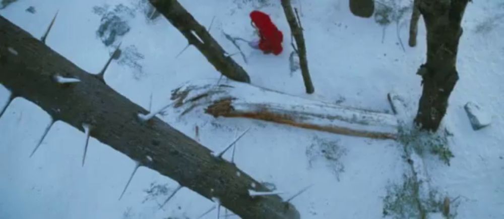 a tree branch with thorns on it is covered in snow .