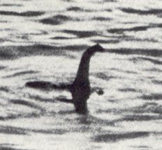 The legendary/ infamous black and white picture purported to be the Loch Ness Monster. 