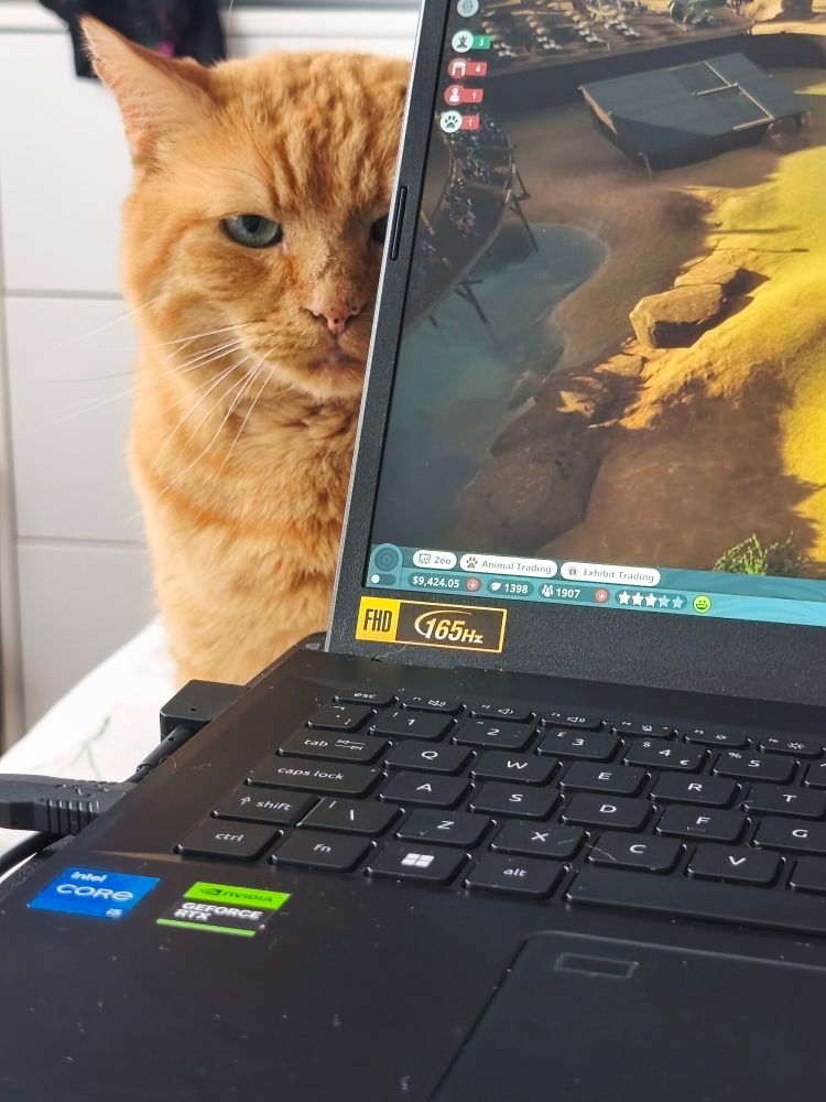 Ginger cat peeking menacingly from behind a laptop