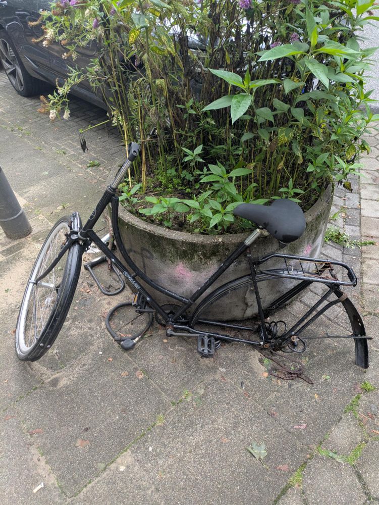 Überreste eines Fahrrads. Hinterrad und Lenker fehlen bereits.