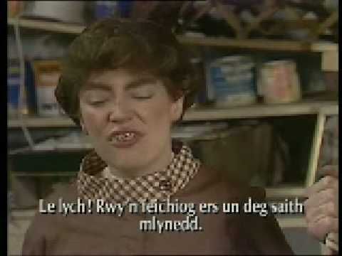 A screenshot of Gwynedd (Morwenna Banks) from the Denzil and Gwynedd sketches on Absolutely, with a Welsh subtitle underneath her stating that she's been pregnant for 17 years