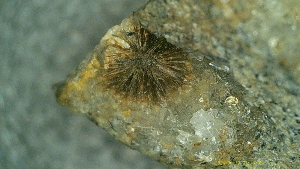 Light brown Tuperssuatsiaite crystals in clear Natrolite