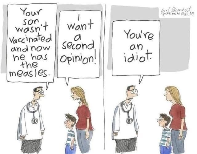 Cartoon images of a doctor talking to a mother about her child. In the first panel, the doctor said, ",Your son wasn't vaccinated and now he has the measles." Mother responds, "I want a second opinion." 
Second panel, doctor said, "You're an idiot. 