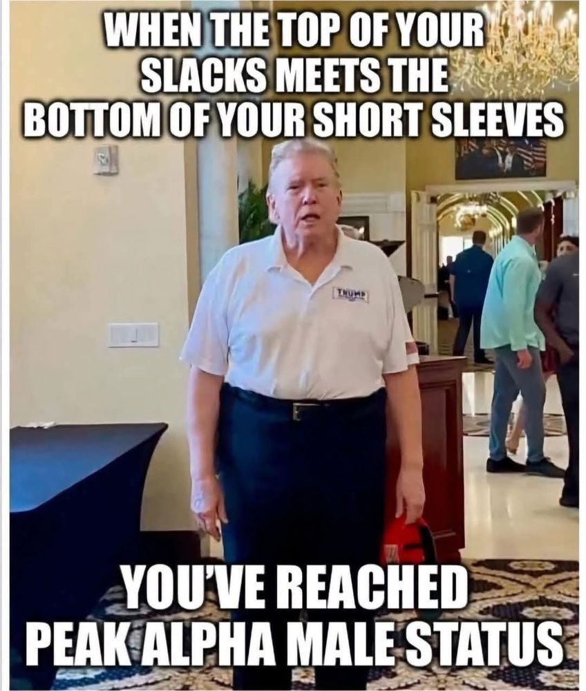Trump with his waistband touching the bottom of his short sleeves. 

When the top of your slacks meets the bottom of your short sleeves 

You've reached peak alpha male status 