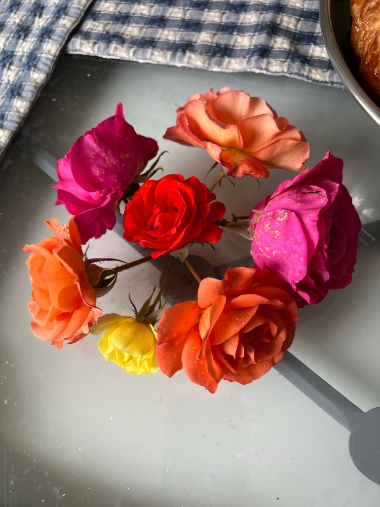 Breakfast of fresh red currants, raspberries and roses! From the garden of Brigitte & Serge ❤️