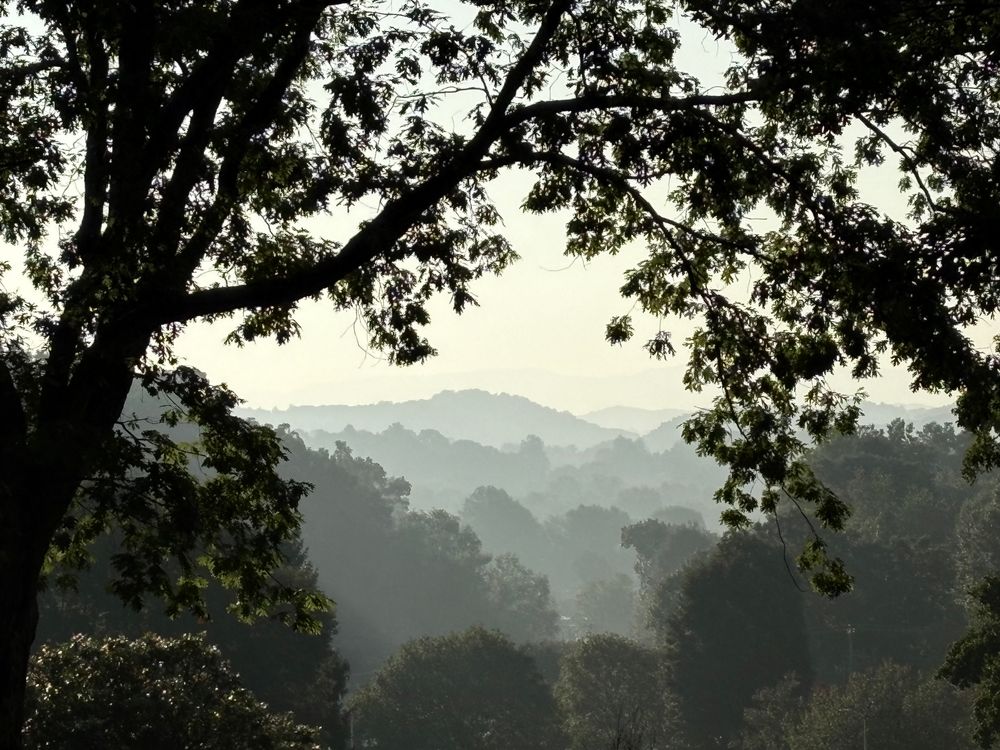 Seen through a frame of trees on a hill, more distant mountains are layered with fog. 