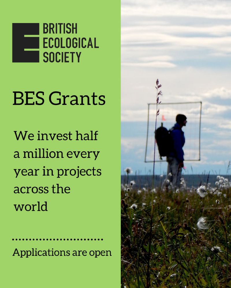 British Ecological Society graphic promoting BES Grants. Text on a green background reads: 'BES Grants. We invest half a million every year in projects across the world. Applications are open.' 

On the right, a silhouette of a field researcher stands in an open grassy landscape, holding a backpack, with a square sampling frame in view.