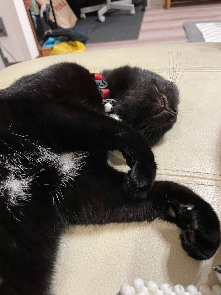 可愛いおててだね