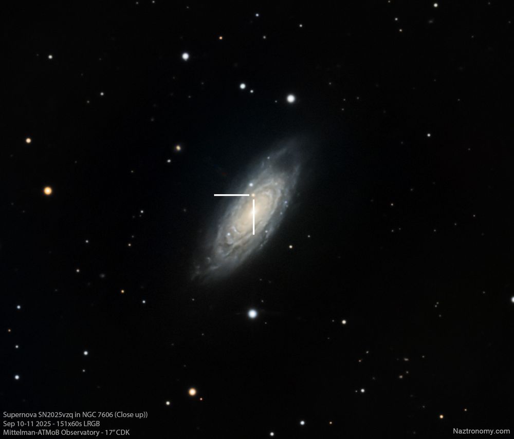 Close up of NGC7606 with Supernova SN2025vzq