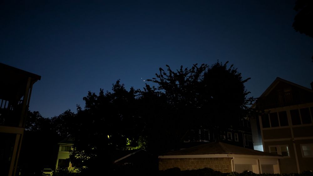 Jupiter and Venus conjunction over a tree