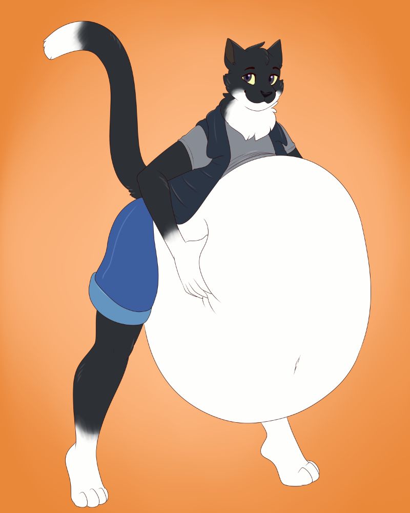a black and white anthro cat leaning slightly forward and softly squishing his belly