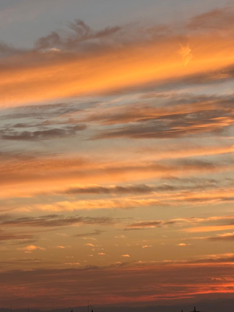 埼玉県さいたま市