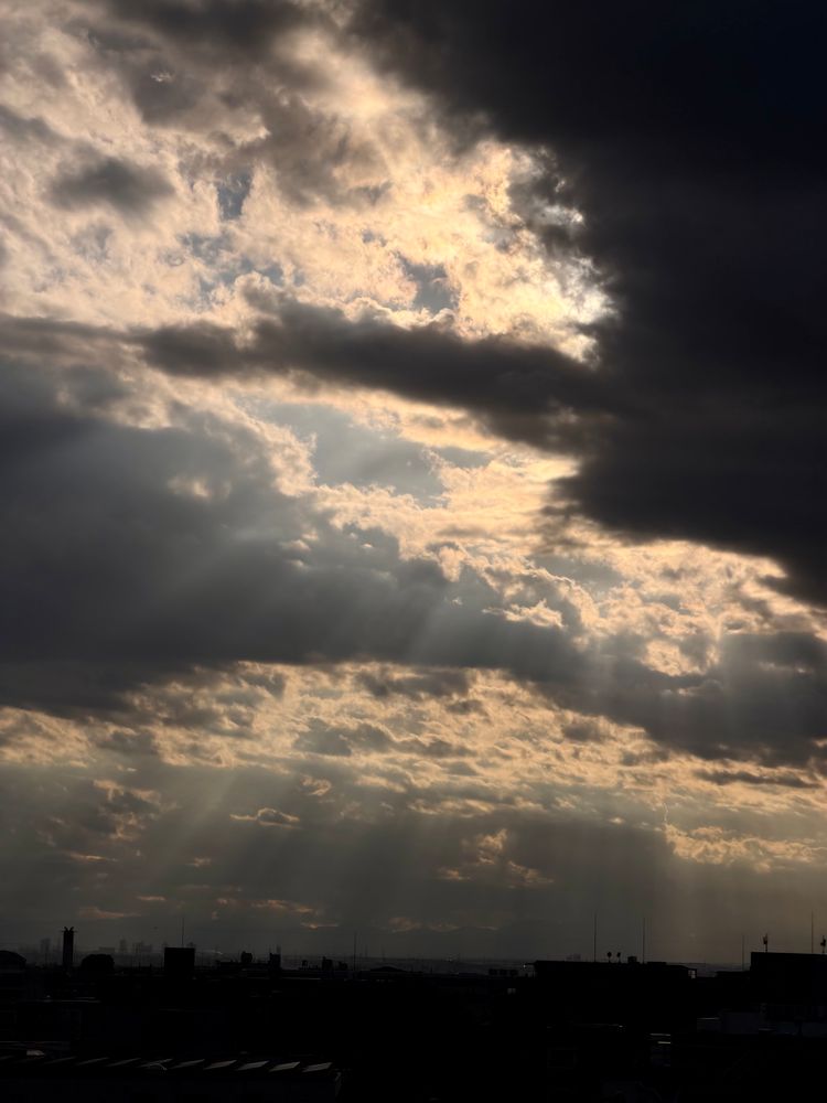 埼玉県さいたま市

フィルターではなくて、アンダー目にしたら色温度がこうなった感