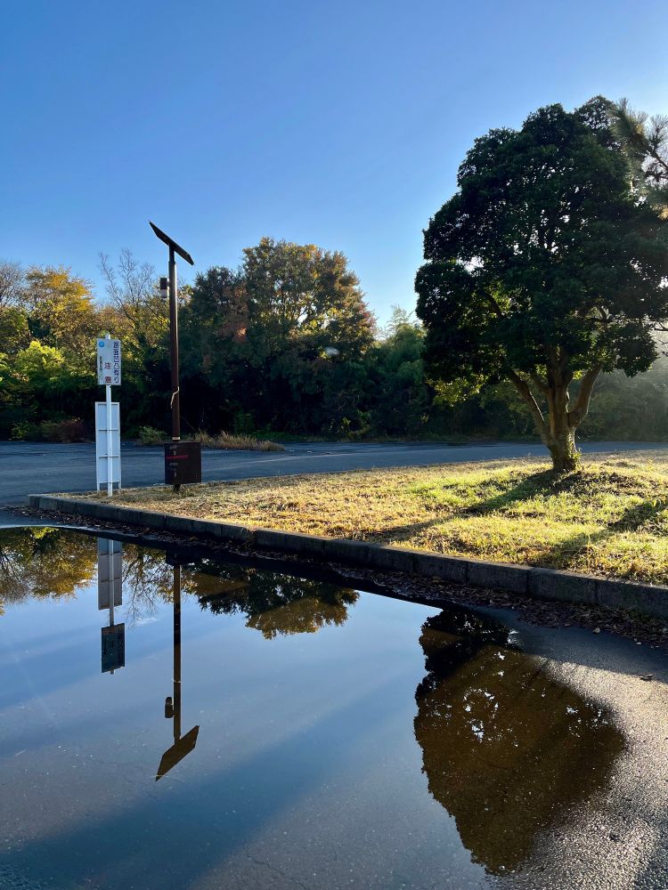 埼玉県さいたま市。寒い時期の7時頃になぜここにいたのか