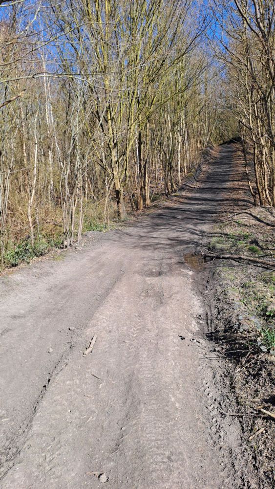Photo du bas du chemin menant au terril 58, avec un contraste net entre la partie la plus proche du chemin (sol plutôt clair) et le début de la montée (sol brusquement assombri).