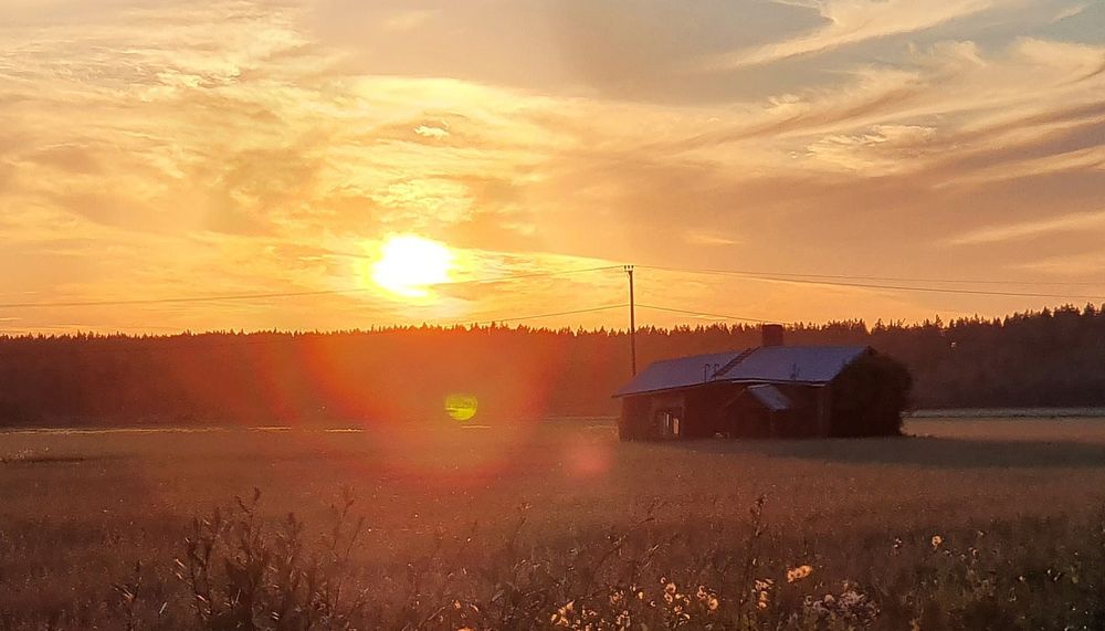 1800 -lukulainen mökki elokuisena kesäiltana.
