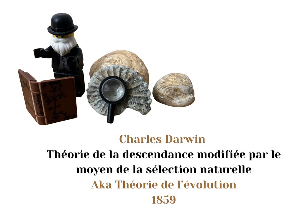 Diorama Darwin en lego