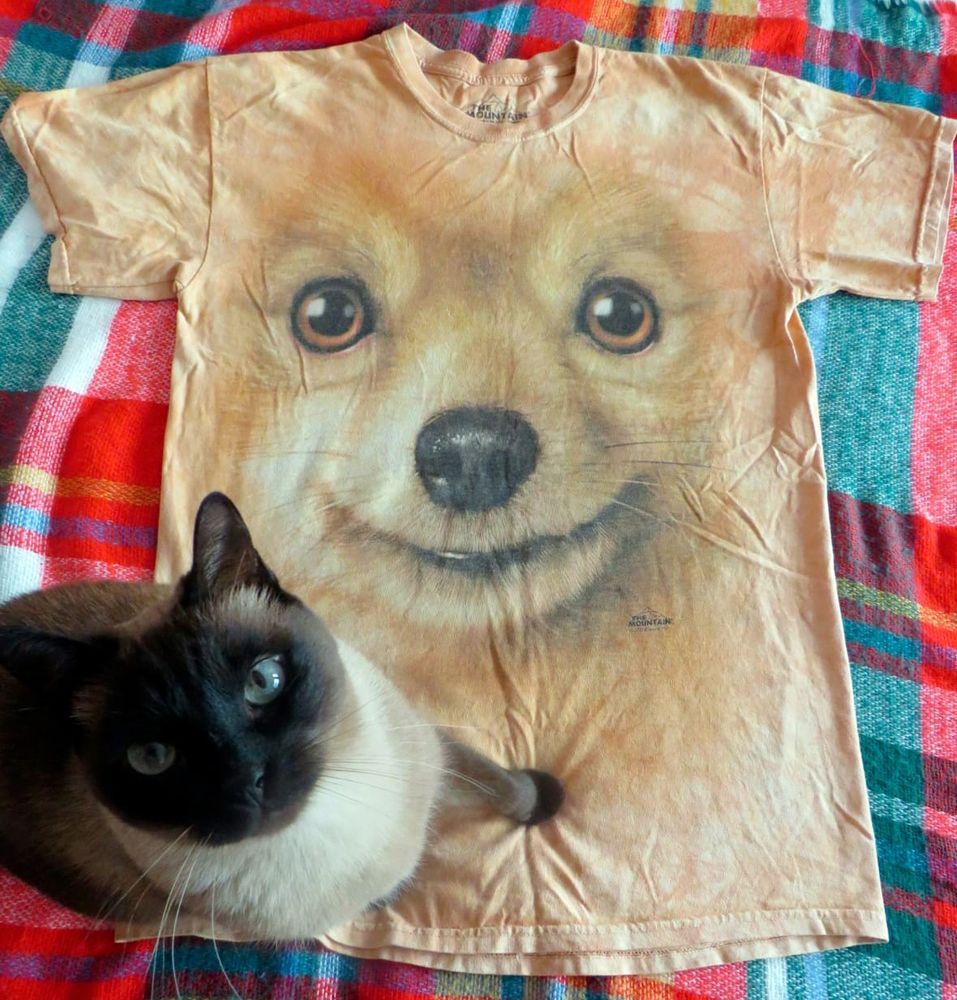 LEONOR DÍAZ. Pascualín y la camiseta favorita de Leo.