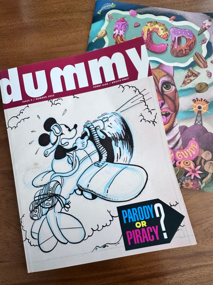 Covers of dummy zine and LCD