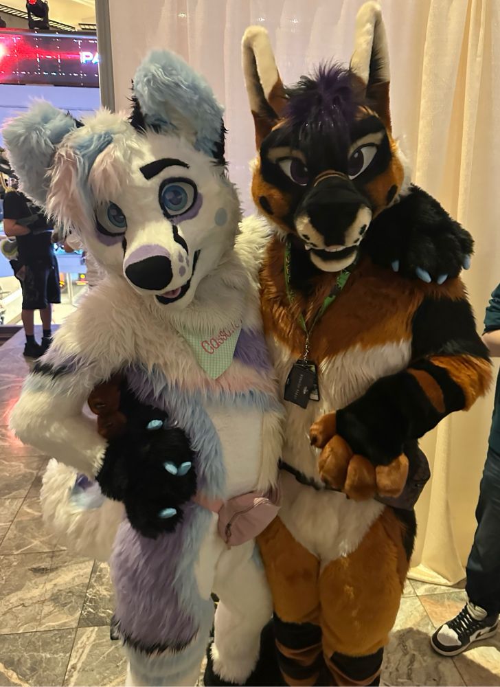 A photo inside a hotel lobby of two fursuiters posing next to one another. 