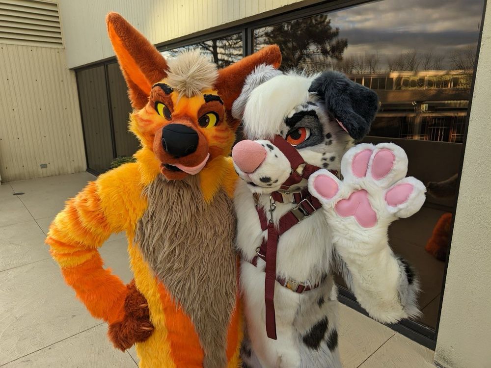 Tangelo, an orange striped hyena fursuiter, and Sash, a blue merle border collie fursuiter, standing next to one another outside the Hyatt hotel at MFF.