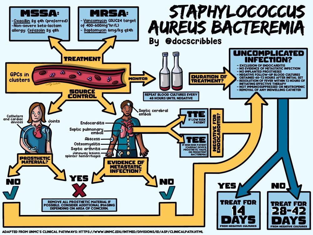 Visual algorithm depicting the evaluation and treatment of staphylococcus aureus bloodstream infections