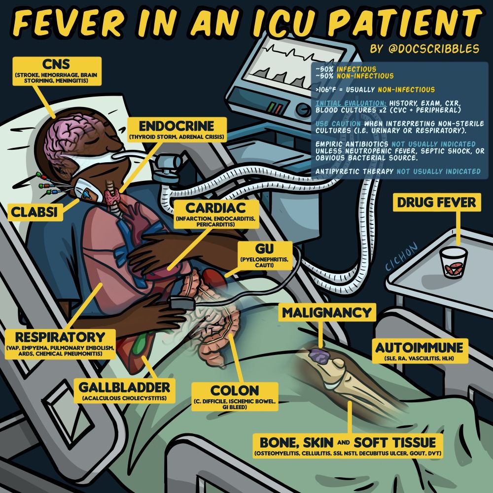 A man is in an ICU hospital bed, intubated and sedated. The graphic around him depicts various organ systems that can contribute to fevers in ICU patients, including CNS, endocrine, cardiac, respiratory, GI, GI, bone, skin/soft tissue, and others (I.e. malignancy, autoimmune conditions, and drug fevers).