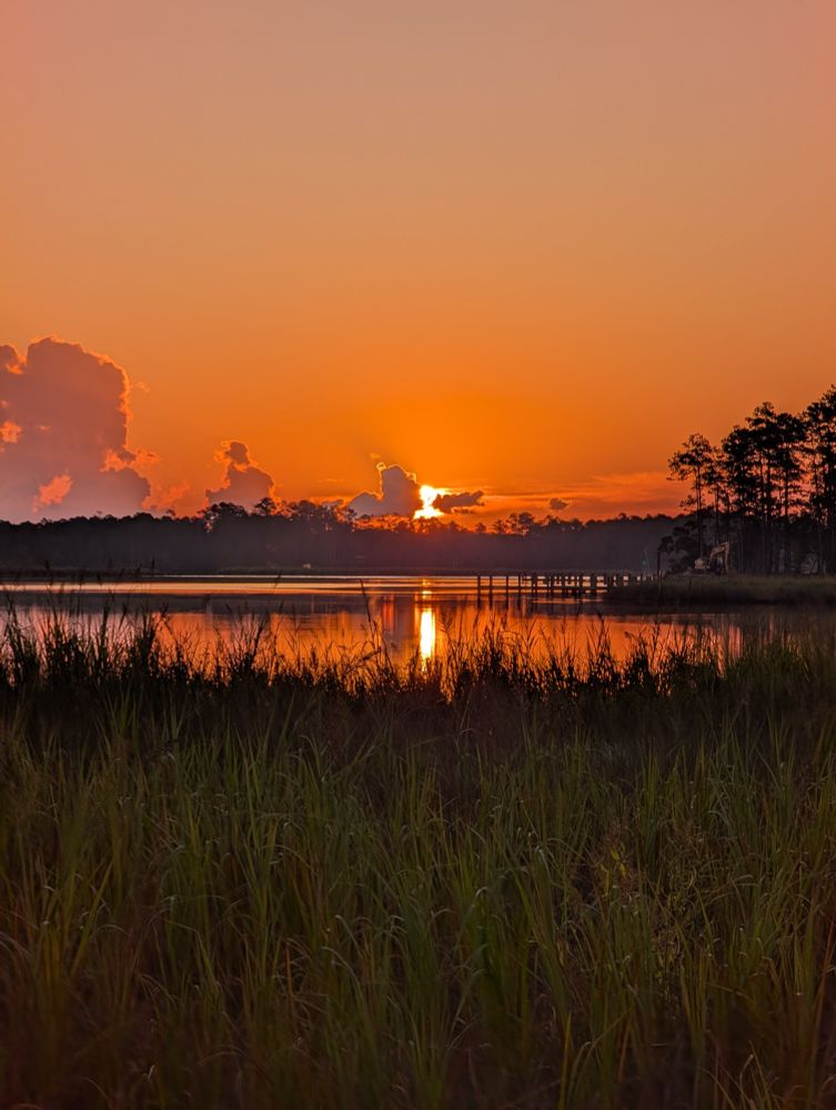 Cloudy sunrise above marsh, trees, and the river