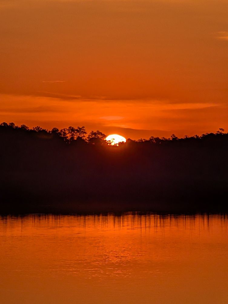 Sunrise above the trees across the river 