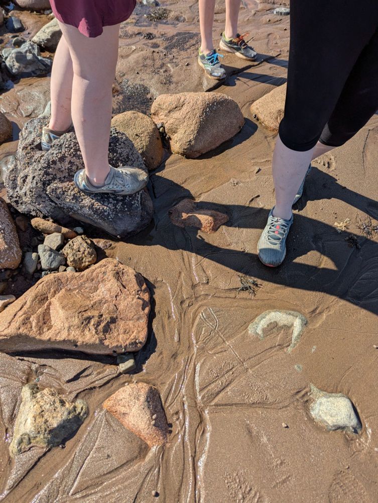 3 pairs of feet standing on rocks/wet sand.