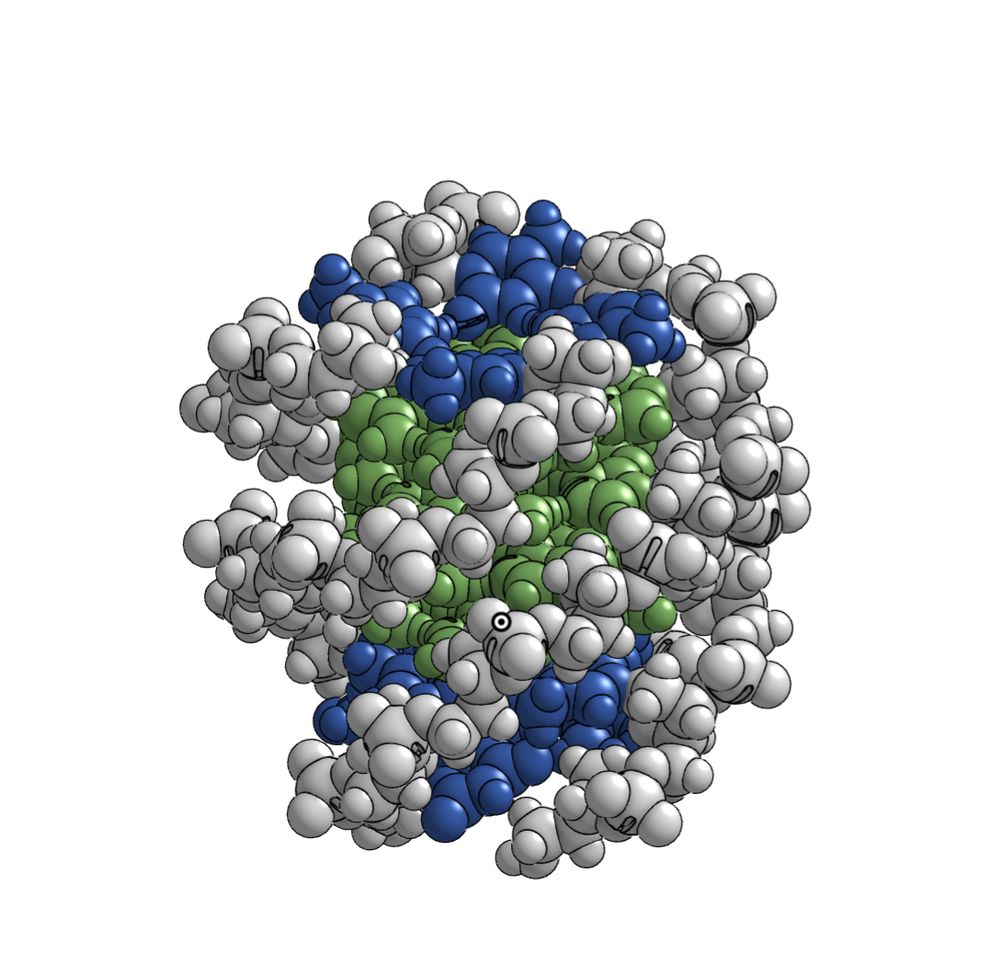 3D printable model kit for PDB 139D made using MoleculeCrafter platform.
