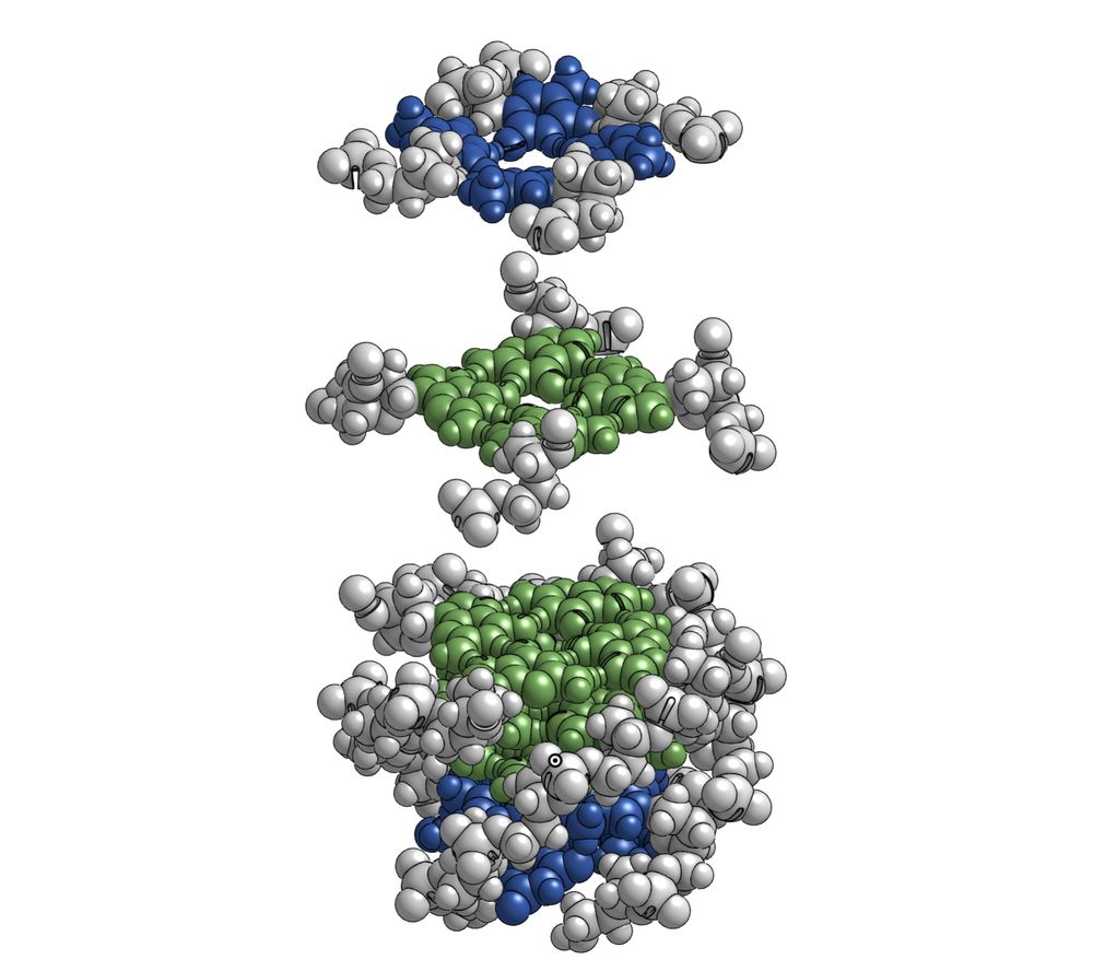 Layer exploded view of 3D printable model kit for PDB 139D made using MoleculeCrafter platform.