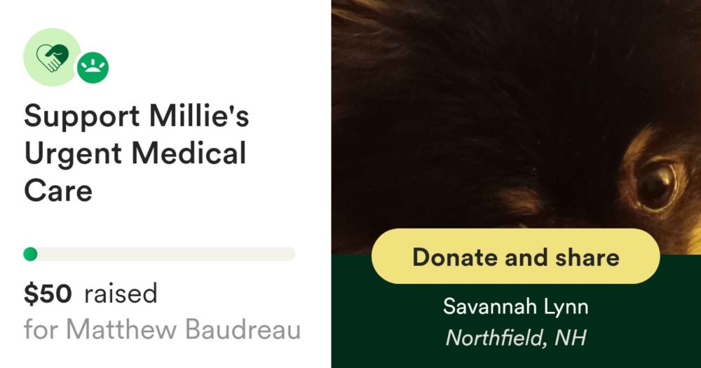 Fai una donazione a Support Millie's Urgent Medical Care, organizzata da Savannah Lynn