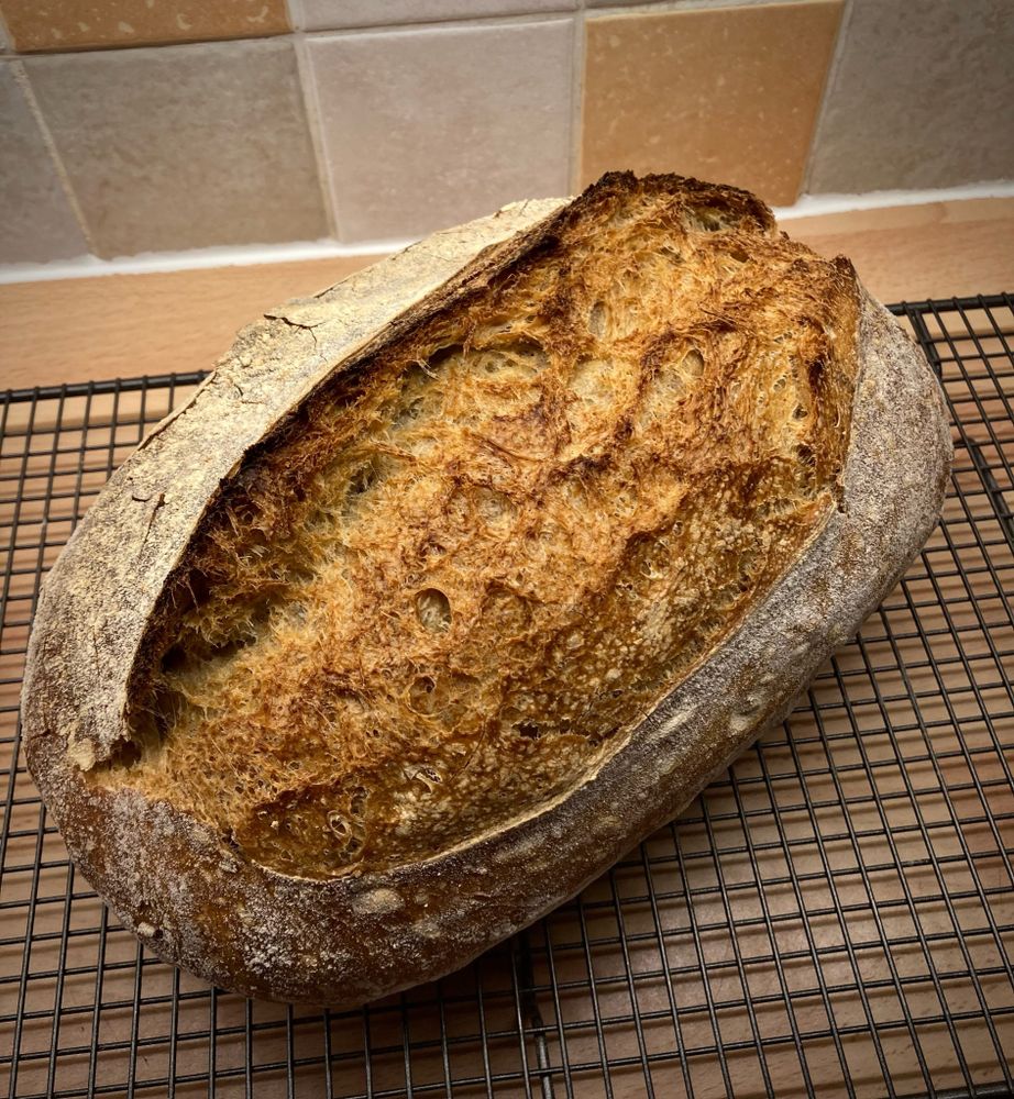 A sourdough loaf on a cooling grid