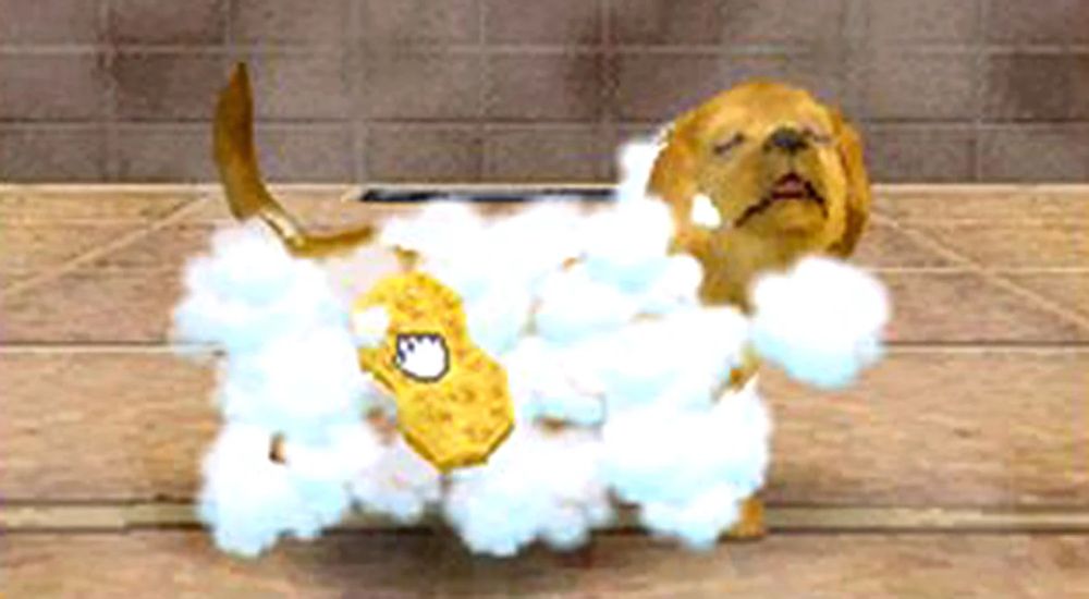 nintendogs where i named my first chihuahua bubbles thinking it was a girl but it turned out to be boy but i went oh well idgaf